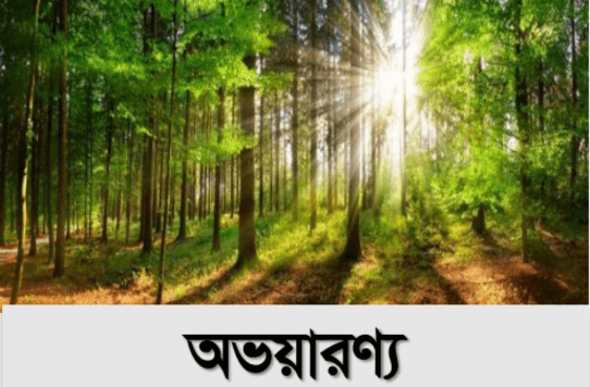 পুস্পধারা ইকো সিটি — ছবি 27