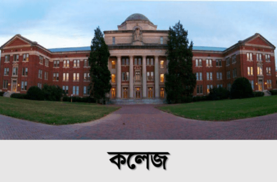পুস্পধারা ইকো সিটি — ছবি 9