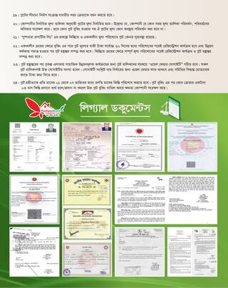 Project Brochure Preview